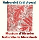 Muséum d'Histoire Naturelle de Marrakech logo